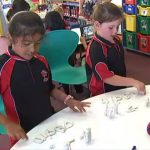 New Zealand School Implementation